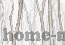 九游大厅手机版app-九游大厅手机版app，重塑娱乐新体验