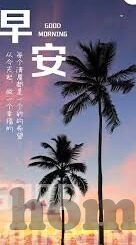 球探手机足球比分-球探手机足球比分，球迷的掌上观赛神器